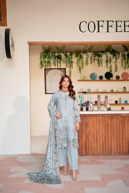 3 Piece Embroidered Karandi Suit