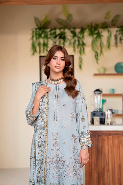 3 Piece Embroidered Karandi Suit