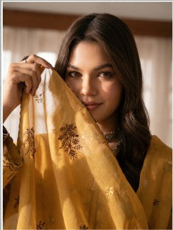 Luxury Embroidery Collection