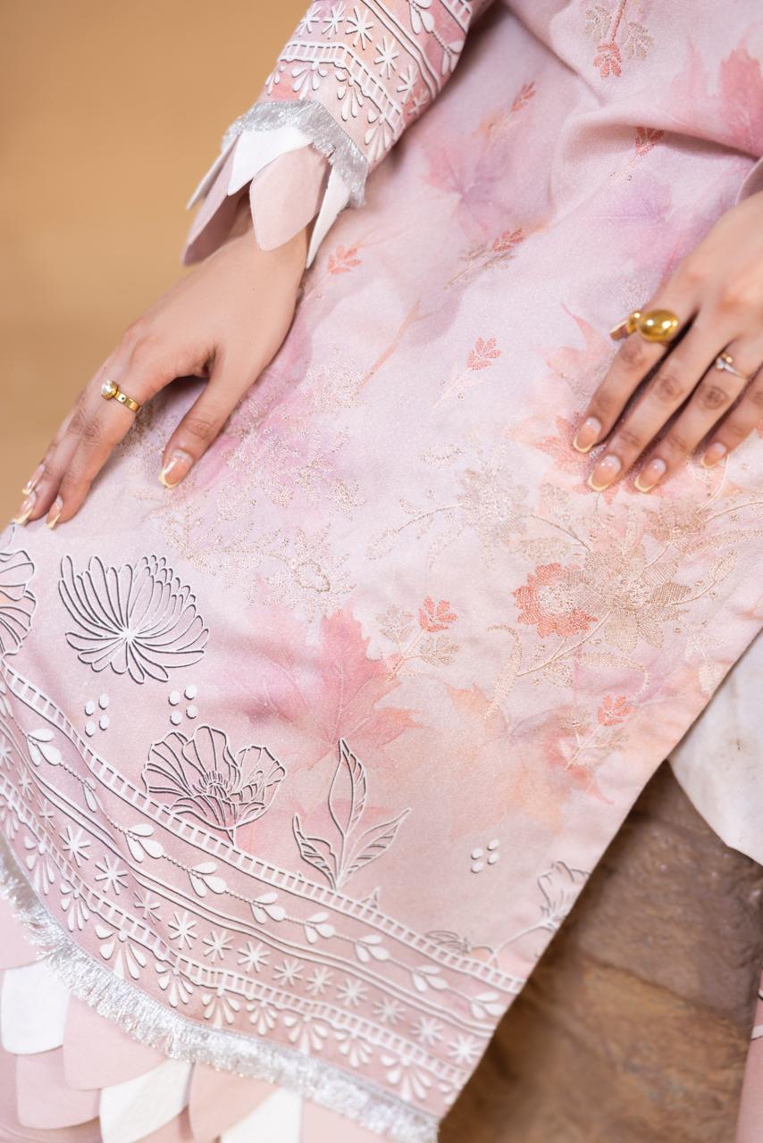 3 Piece Embroidered Karandi Suit
