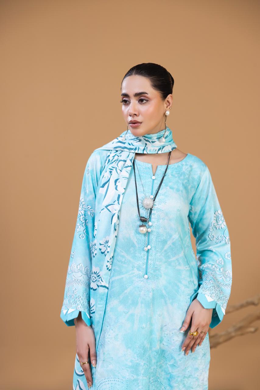 3 Piece Embroidered Karandi Suit